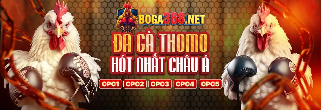 Toàn cảnh một trường gà đấu gà trực tuyến với khán giả và trọng tài, minh họa tính minh bạch của các trận đấu tại lucky 88.